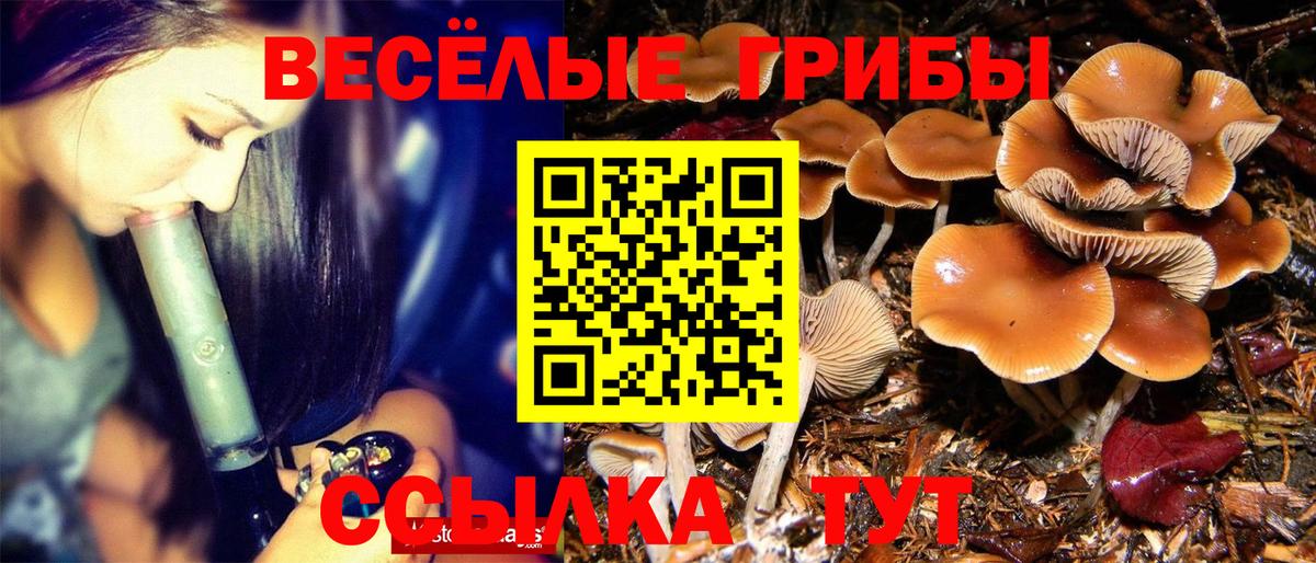 Ишим  наркошоп  Вход с VPN  Галлюциногенные грибы Cubensis 